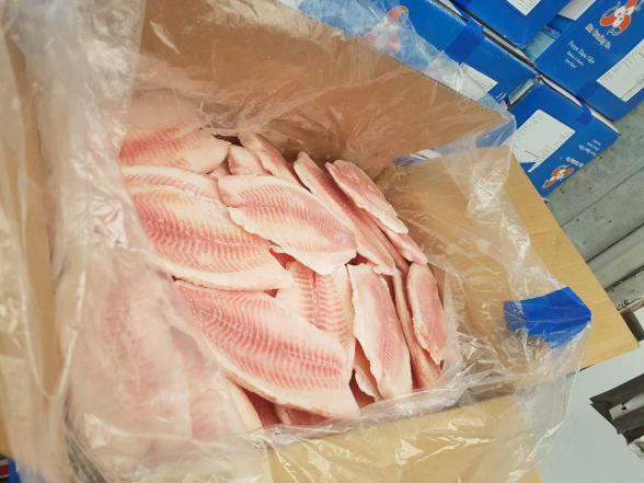 قیمت روز ماهی تیلاپیا زنده در بازار