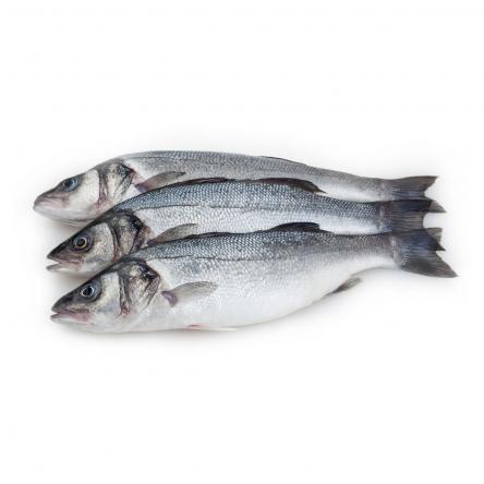 کیفیت انواع ماهی سیباس ۶۰۰ گرمی