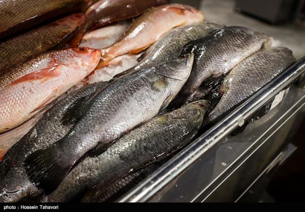 تولید کننده ماهی سیباس آسیایی