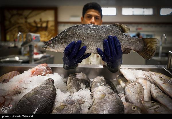 مشخصه مهم ماهی سیباس آسیایی