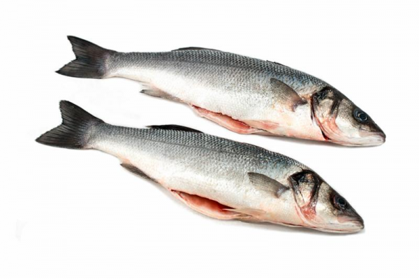 ماهی سیباس چه فوایدی دارد؟